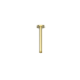 Vogt - 8" Ceiling Arm - Round - CA.02.08.BG - Brushed Gold (PVD)